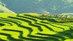 Sapa Trekking Group Tour by Bus from Hanoi with 2 Nights Hotel stay