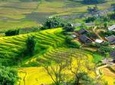 Sapa Village Trekking 1 Day Trip