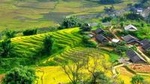 Sapa Village Trekking 1 Day Trip