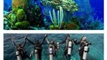 Scuba Diving Tour in Cham Island for certified divers or Beginners