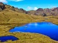 Shared Cajas National Park Half-Day Tour from Cuenca