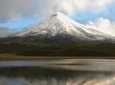Shared Cotopaxi National Park Tour from Quito