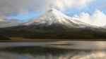Shared Cotopaxi National Park Tour from Quito