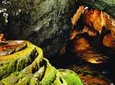 SON DOONG CAVE EXPEDITION