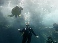 South Maui Shore Dives