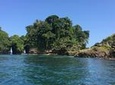 Speed Boat tour to Mangrove Point -Starfish Beach -Bocas del Drago and Birds Island