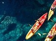 Sunset Kayaking and Snorkeling Adventure (+ snack, water & wine)
