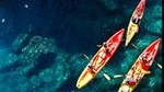 Sunset Kayaking and Snorkeling Adventure (+ snack, water & wine)