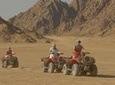 Super Safari 5 In 1quad Camel Ride Dinner African Nubian show star gazing