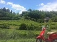 Vespa tour in the Prosecco Land