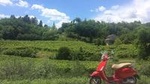 Vespa tour in the Prosecco Land