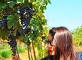 Vineyard Tour to Beautiful Nandi Hills including Wine Tasting and Private Transfer