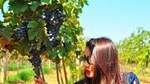 Vineyard Tour to Beautiful Nandi Hills including Wine Tasting and Private Transfer