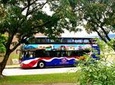 VIP City Bus From San José