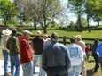 Discover a Real Working Cattle Ranch