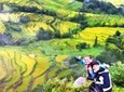 Yunnan 4 Days Rice Terraces Photography Tour