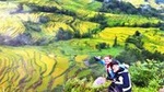 Yunnan 4 Days Rice Terraces Photography Tour