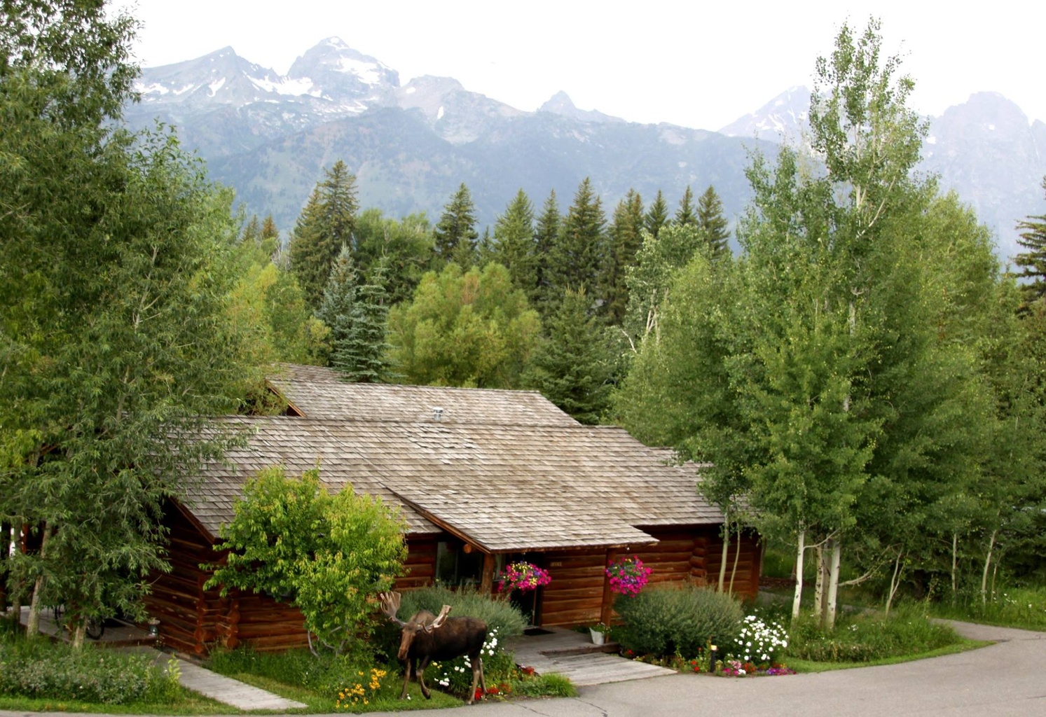 Dornan's Spur Ranch Cabins