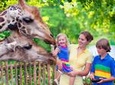 From Cape Town: Franschhoek Wine Tram Hop-on-Hop-off Tour
