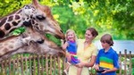 From Cape Town: Franschhoek Wine Tram Hop-on-Hop-off Tour