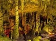 Zeus Cave & Lassithi Plateau (Safari Adventure Offroad Excursion)