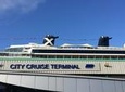 Private Port Arrival Transfer Southampton Cruise Terminals to Gatwick Airport