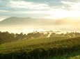 Private Yarra Valley Tour