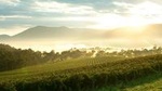 Private Yarra Valley Tour