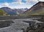 Visit Toklat River Contact Station, Denali National Park, Alaska