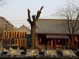 5 Days Xian Food and Culture Tour Combo Package