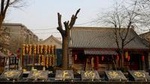 5 Days Xian Food and Culture Tour Combo Package