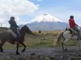 Cotopaxi National Park Horseback Ride Private Excursion
