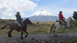 Cotopaxi National Park Horseback Ride Private Excursion