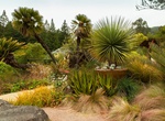 Visit University of California Botanical Garden, Berkeley, California