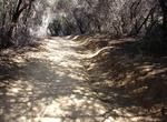 Explore Temescal Canyon Park, California