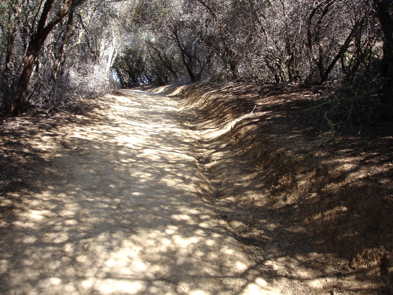 Temescal Canyon Park