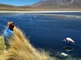 3-Day, 2-Night Uyuni Salt Flats with English Guide, Shared Tour from Uyuni