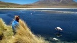 3-Day, 2-Night Uyuni Salt Flats with English Guide, Shared Tour from Uyuni