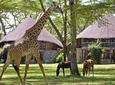 Private 5 Days: Hell's Gate, L. Naivasha, L. Nakuru & Masai Mara Luxury Safari