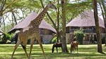 Private 5 Days: Hell's Gate, L. Naivasha, L. Nakuru & Masai Mara Luxury Safari