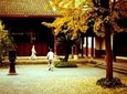 Chengdu Food Tour with Wenshu Yuan Monastery Visit