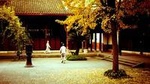 Chengdu Food Tour with Wenshu Yuan Monastery Visit