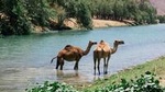 East Jewels with Wadi Darbat :Salalah tours