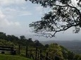 Full-Day Brownsberg Nature Park Tour