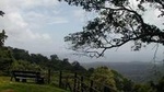 Full-Day Brownsberg Nature Park Tour