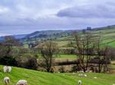 Full-Day Yorkshire Dales Tour from York