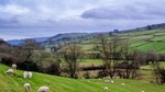 Full-Day Yorkshire Dales Tour from York