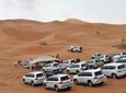 Private Half-day Desert Safari (Dubai Red Dunes Desert) 
