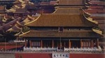 Half Day Forbidden City Private Tour (No shopping)