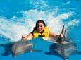Hurghada Dolphin House and Banana Boat Fun with Snorkeling Time with Lunch Inc